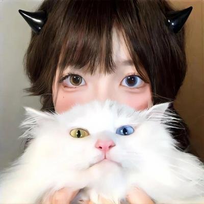 黑色蜂暴